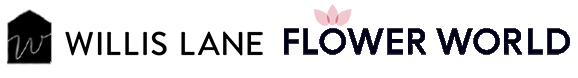 Willis Lane by Flower World